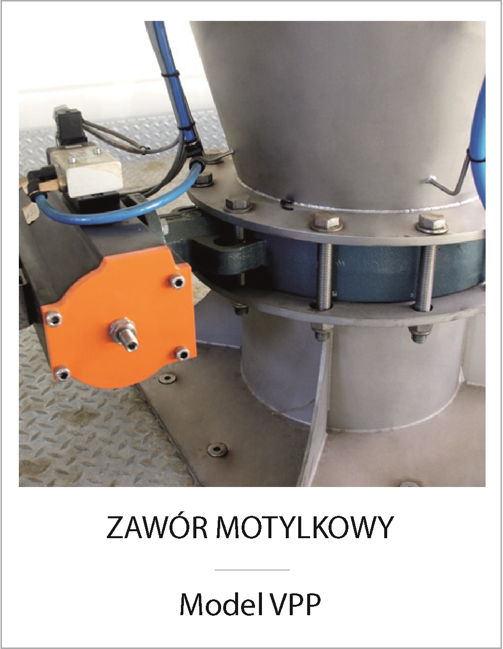 ZAWOR_MOTYLKOWY_Model_VPP.jpg