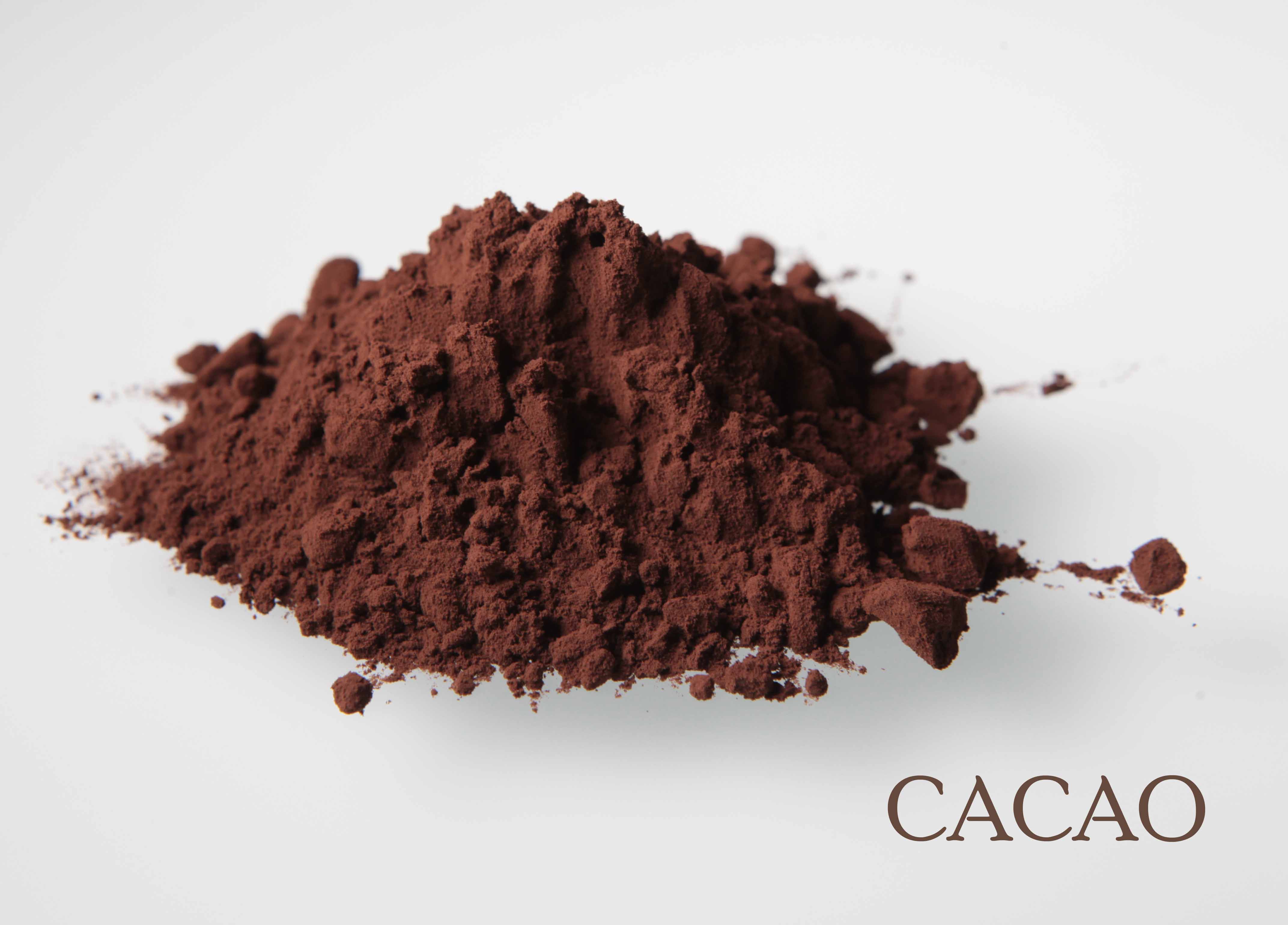 poudre cacao palamatic process